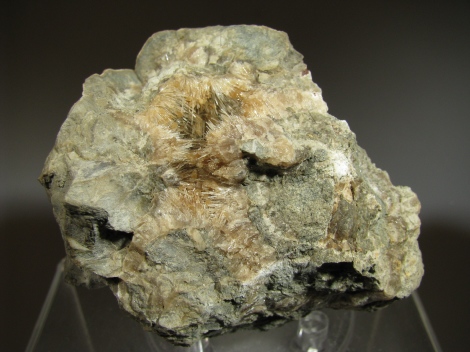 Aragonite From Septaria - Godiasco Val Staffora Italy